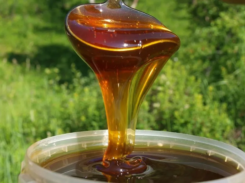 мёд Алтайский 2019 оптом в Бийске
