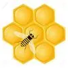 мёд с Алтая ОПТ  розница цена качество  в Бийске 5