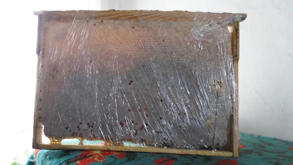 мёд с Алтая 100  руб. кг. в Бийске 2