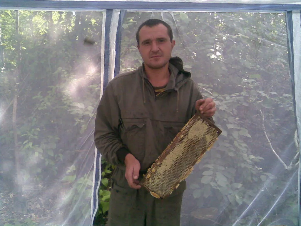 мёд 2012 года с собственной пасеки в Бийске